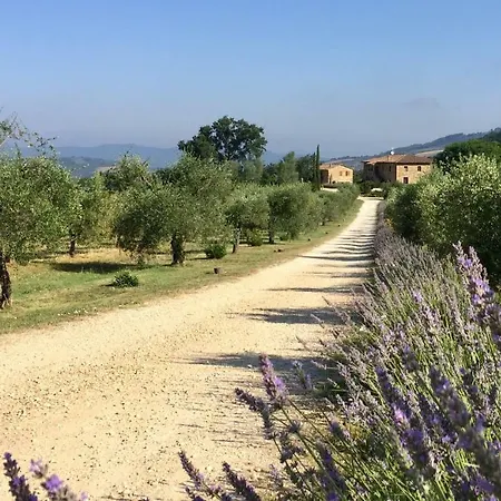 Le Bolli Radicondoli